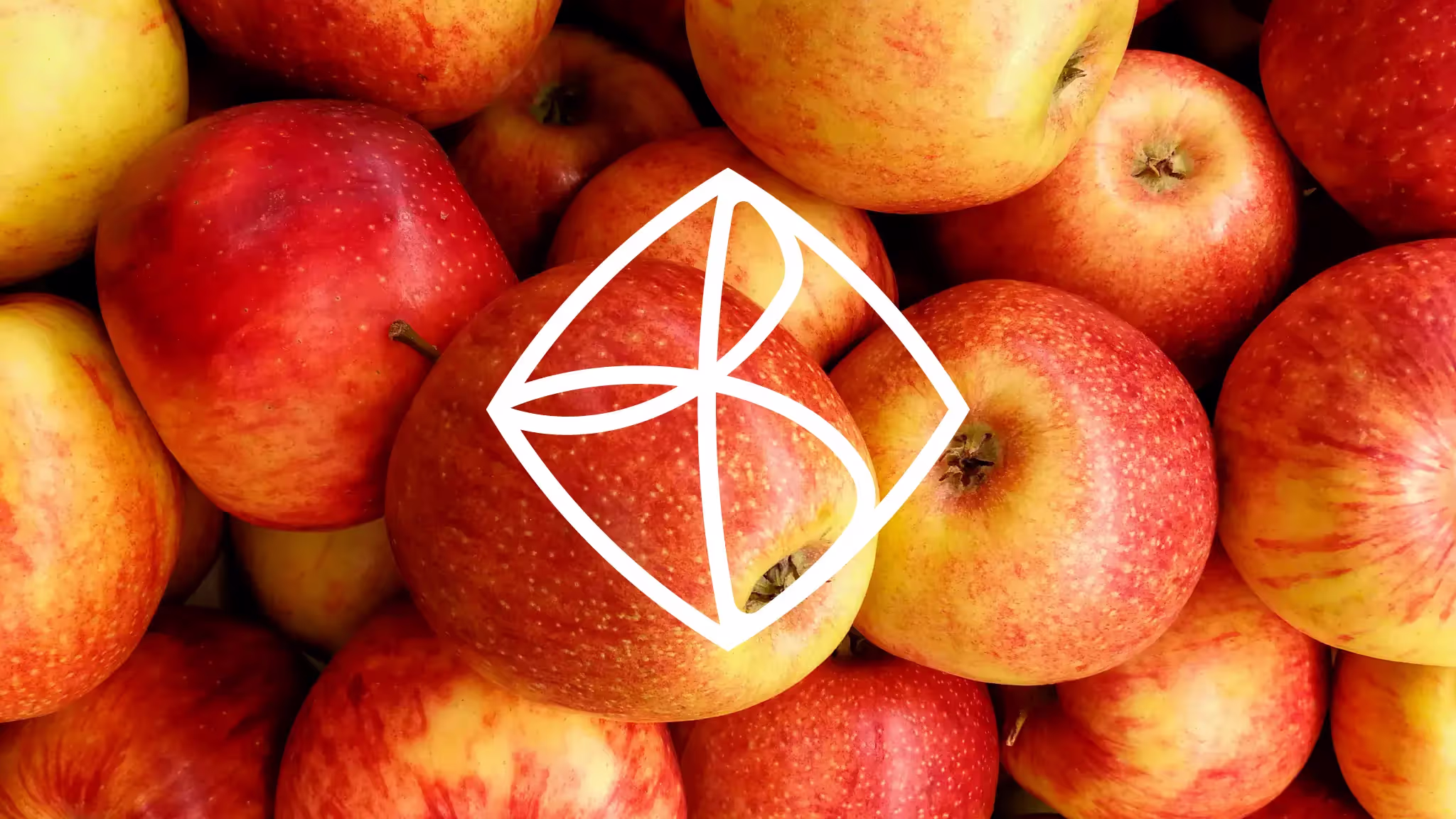 A photo of a bushel of apples with a white version of the Burst Cider logomark superimposed over the photo.
