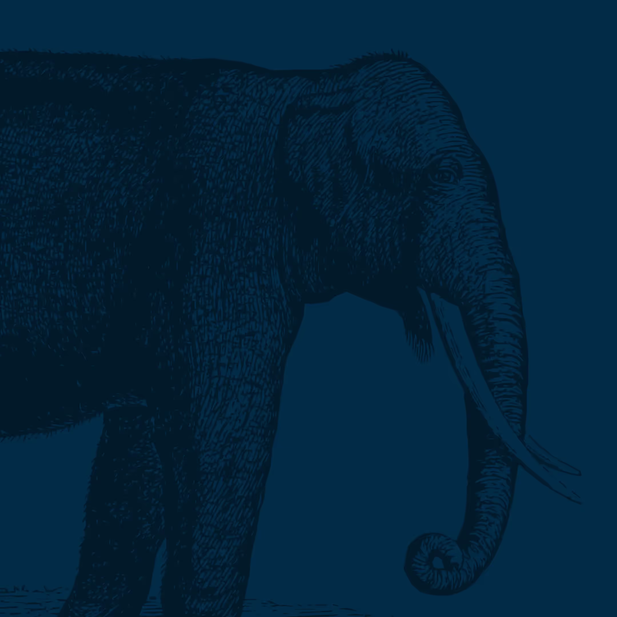 A lithographic style illustration of a mom elephant